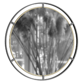 Uttermost Crest Round Vanity Decorative Wall Mirror