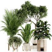 Indoor plants set97