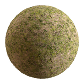 Grass-004