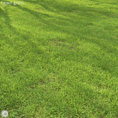 Grass lawn