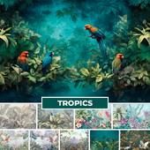 Tropics