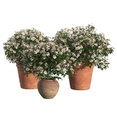 Outdoor Pot Set