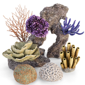 Corals Collection 2