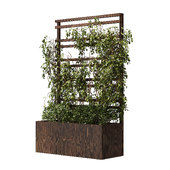 Outdoor wooden plant pot with plants