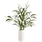 Plants collection set 8