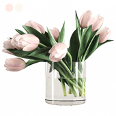 Bouquet of Tulips