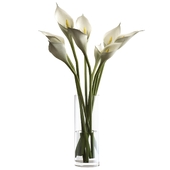 Bouquet of calla lilies in a vase