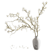 Plants collection set 9