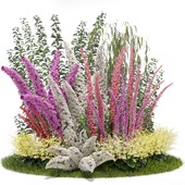 Outdoor Plant 001