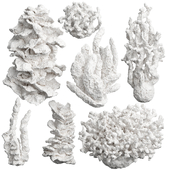 collection of decorative coral1