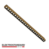 Brass Line Track Light 20W 3000K (brass) 85529/01