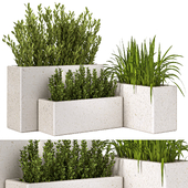 Indoor Plant Set 150