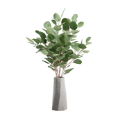 Concrete Vase Eucalyptus Bouquet