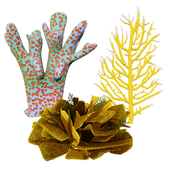 Underwater Coral and Plant Pack - 3D Models