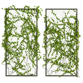 Fence with Ivy v20