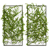 Fence with Ivy v21