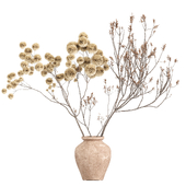 plants bouquet 08 dry flower