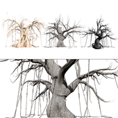 Creepy Trees 3D model