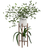 Indoor Plant Set 02