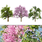 3D Plum Tree Pack