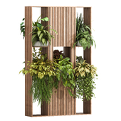 indoor plants in wooden shelf