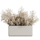 Indoor Plant Set 94