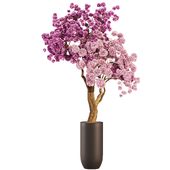 indoor plant flower set 08