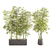 Bamboo set