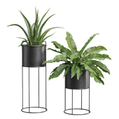 Plants Dark Metal Stand