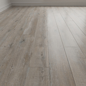 Laminate. Parquet. Board 27
