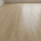 Laminate. Parquet. Board 29
