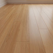 Laminate. Parquet. Board 31