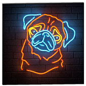 neon set 15