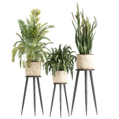 indoor plant set 071