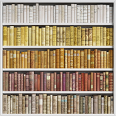 Classic Books 65