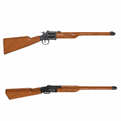 gun 30