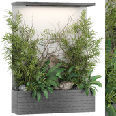 Plants collection 1191