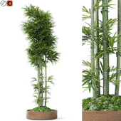 Plants collection 1194