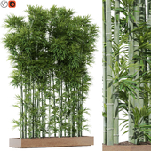 Plants collection 1196