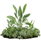 Realistic 3D Banana Monstera Plant – Garden Model