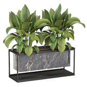 Plants in Marbel and Metal Box 162