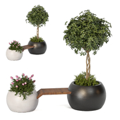 Green Bench-A Collection of Plants in The Minimal Garden 172