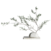 decor plant 02
