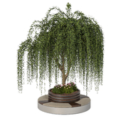 Outdoor Plants Urban Furniture - Green Benches 176