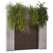 Hanging Plants in Minimal Green Wall 179