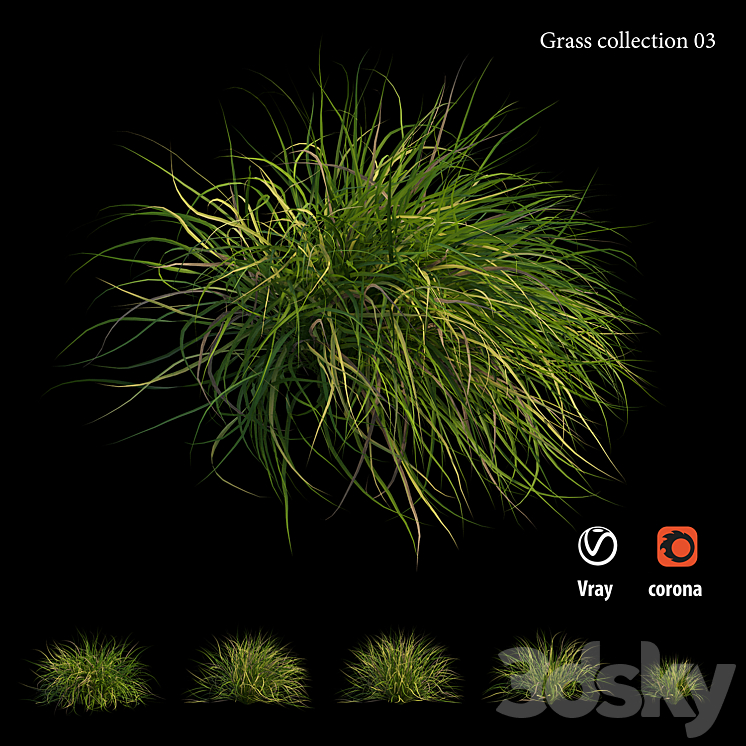 Grass collection 03 - Grass - 3D model