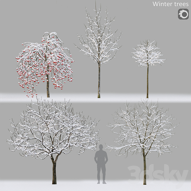 Winter Tree Model Winter trees # 1 - Tree - 3D model