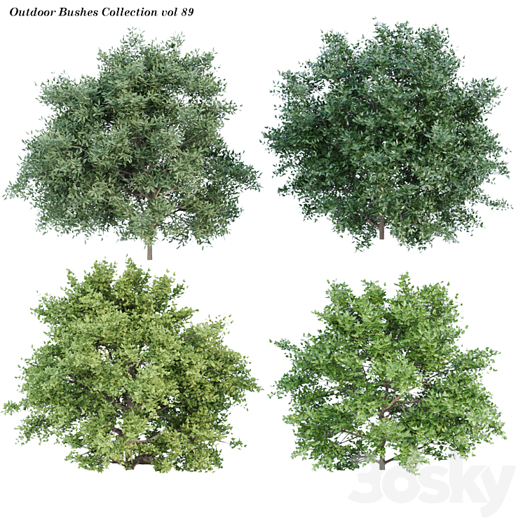 Outdoor Bushes Collection vol 89 - Bush - 3D model