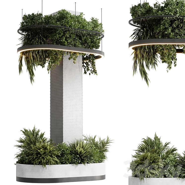 Column plant - Indoor - 3D model