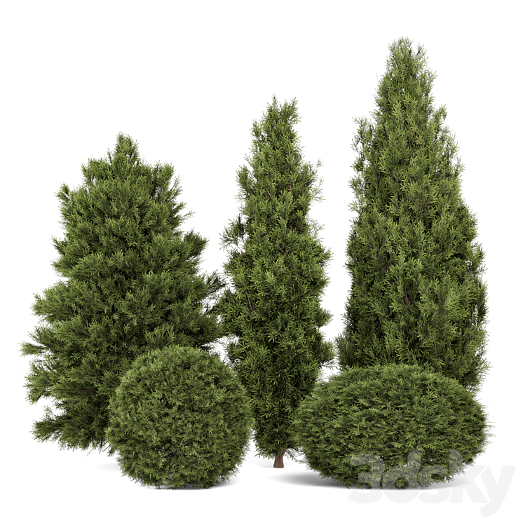 Outdoor Plants Pine Bush and Tree - Bush Set 2700 - Tree - 3D model